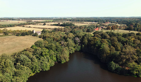 Fritton Woods from above