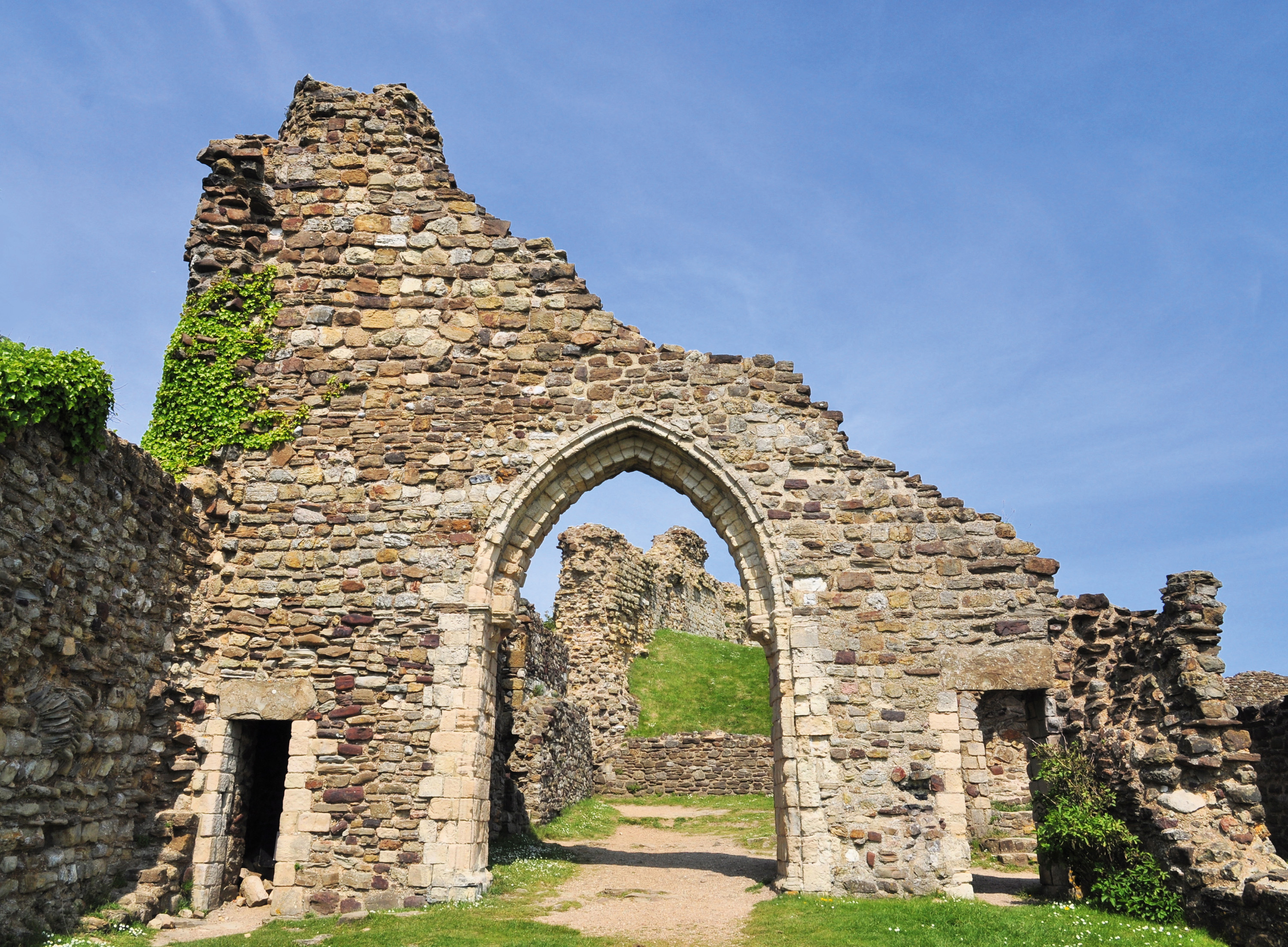 are dogs allowed in hastings castle