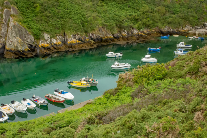 Porthclais Harbour