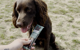 A spaniel dog is introduced to Sir Woofchester's doggy bar snacks.