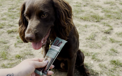 A spaniel dog is introduced to Sir Woofchester's doggy bar snacks.