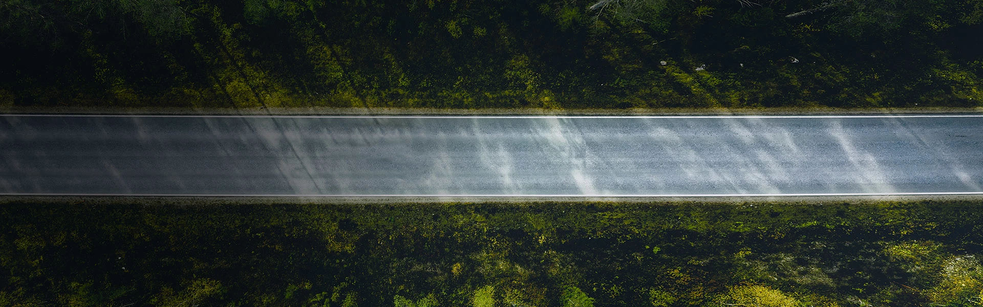 Vehicle travelling along a tree-lined road, from Vodafone Automotive