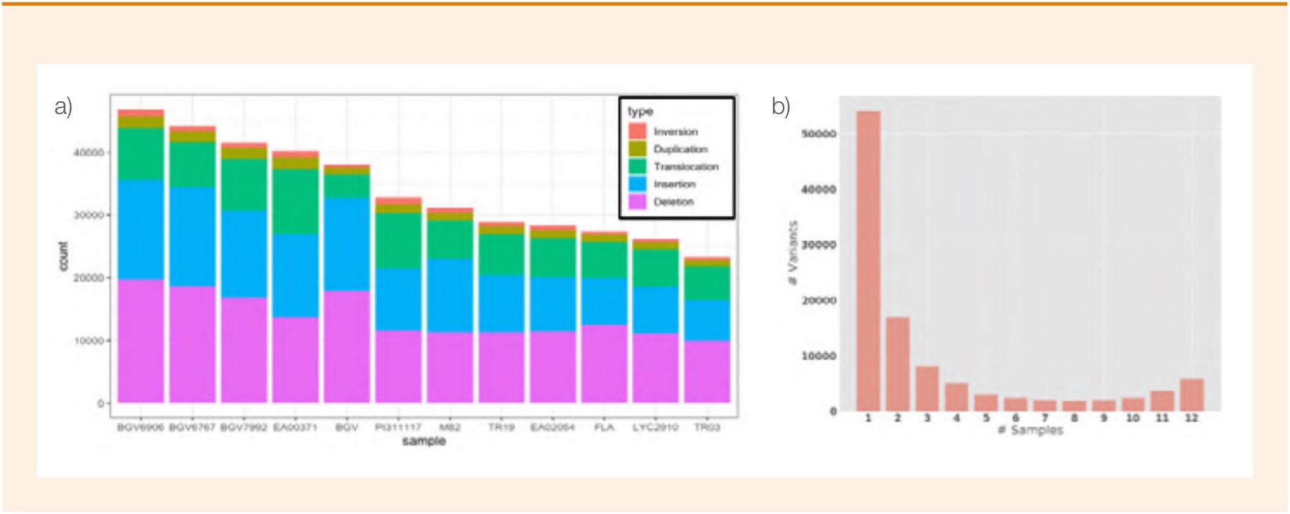 Fig 1. Nanopore sequencing results from 12 tomato genomes