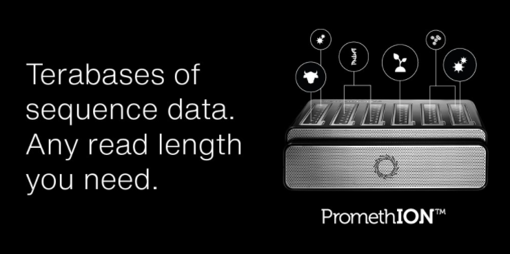 promethion