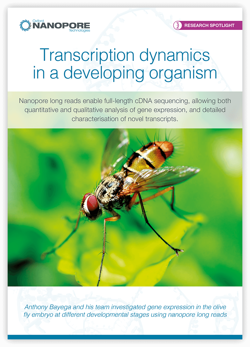 Research spotlight olive fruit fly