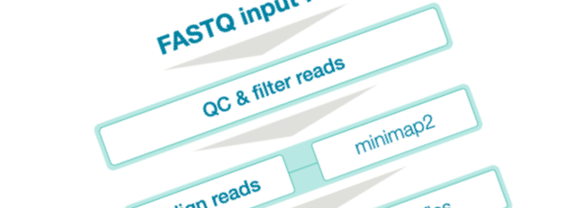 分析: 使用 pipeline-transcriptome-de 分析差异基因表达