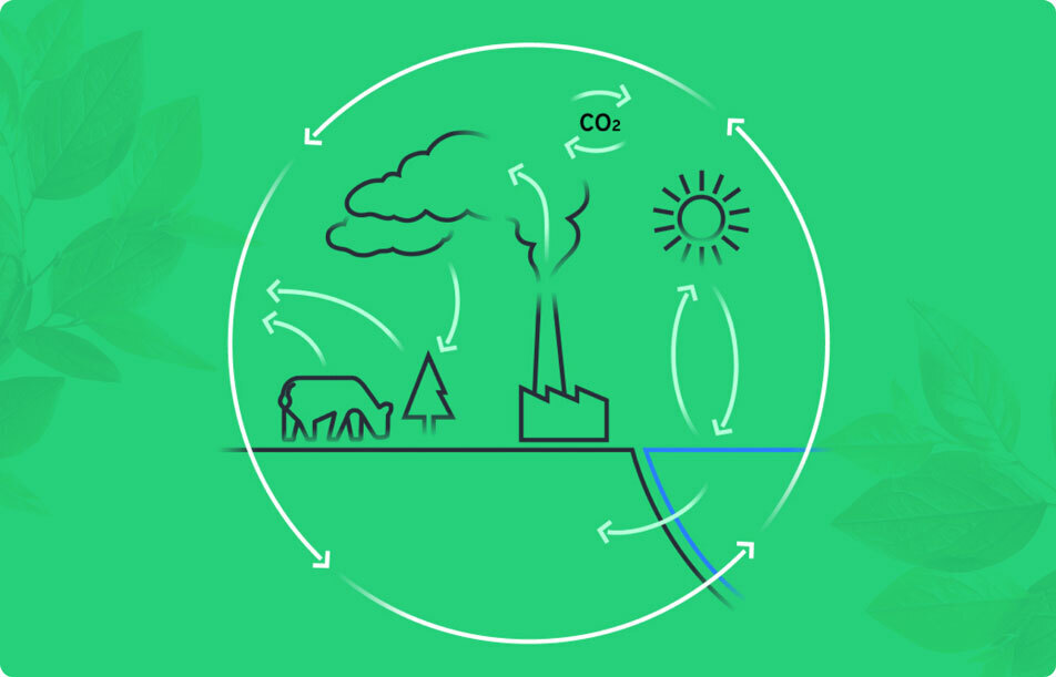 carbon-cycle-worldatlas