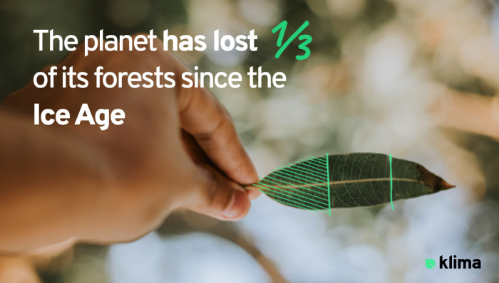 The planet has lost 1/3 of its forest since the Ice Age.