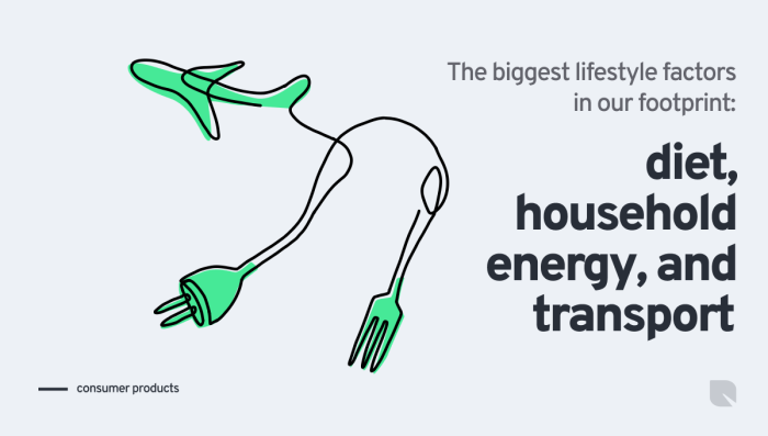 The Biggest Lifestyle Factors In Our Footprint: Diet, Household Energy, And Transport
