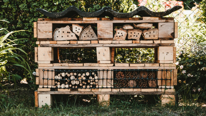 Bee hotel and bird boxes