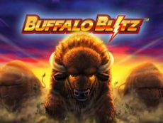 Buffalo Blitz