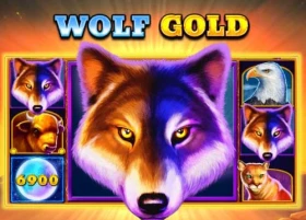 wolf-gold