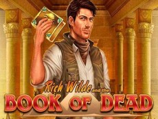 Book of dead game logo