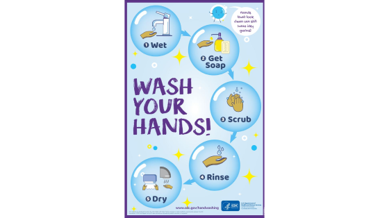 wash your hands