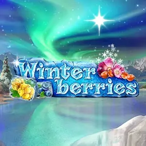 Winterberries
