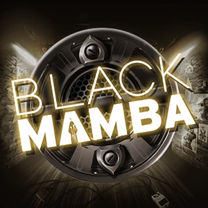 playngo_black-mamba_desktop