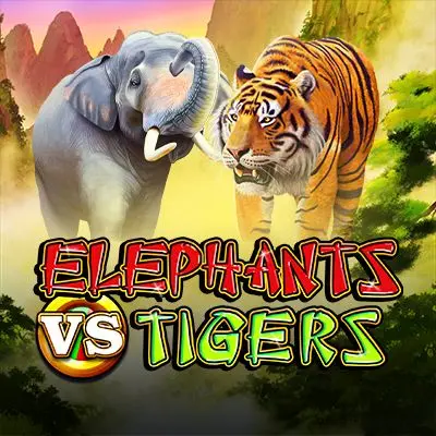 Elephants vs Tigers 