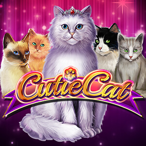 oryx_gamomat-gam-cutie-cat_desktop