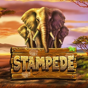 betsoft_stampede_any