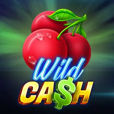 bgaming-wild-cash