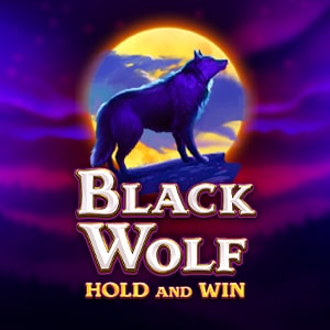 booongo-black-wolf-hold-and-win