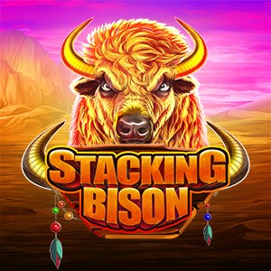 swintt-stacking-bison