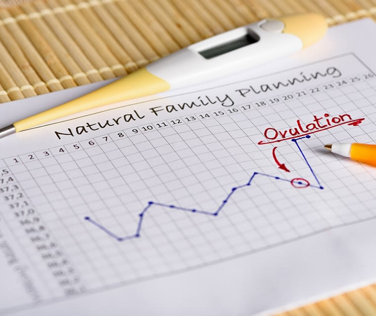 CALCULER SA DATE D’OVULATION - Image 1 - Vania - fr-FR