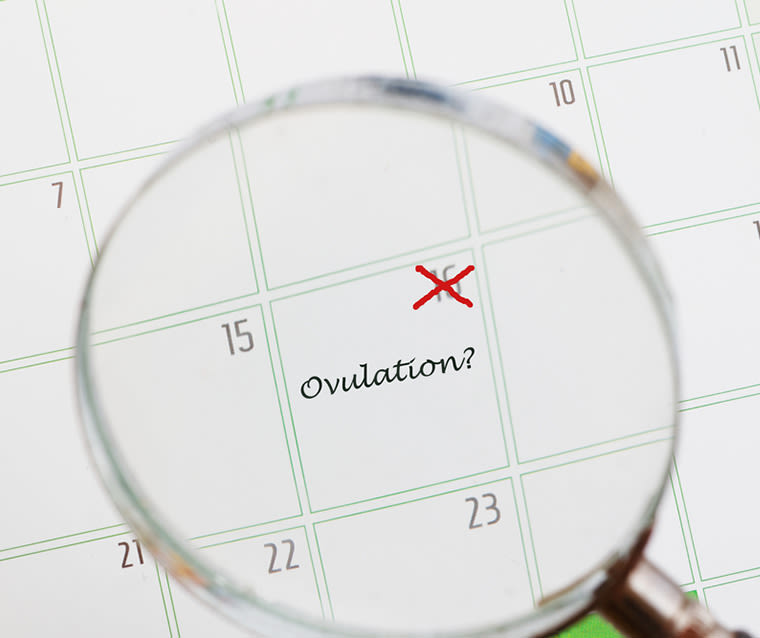 Un calendrier comme outil pour calculer la période d'ovulation