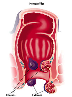 dessin de l’anus