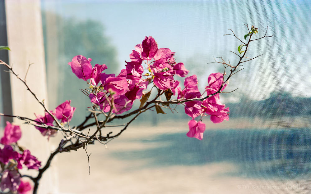 Original Photo credit: Tim Soderstrom (Fastlyan)