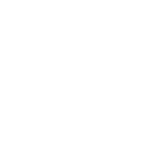 武骨透明logo
