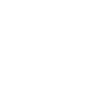 虎洞透明logo