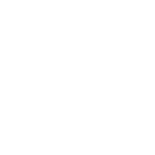 Domon Transparent Logo