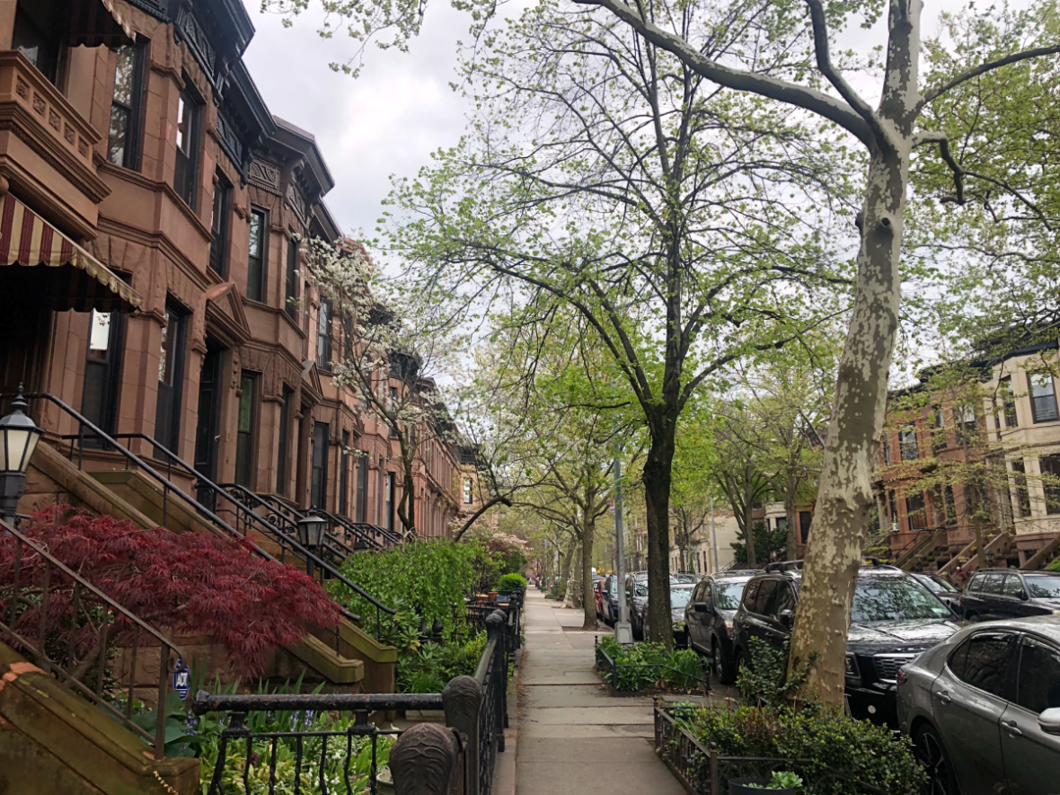 View of a Park Slope block lined with brownstones and blooming trees