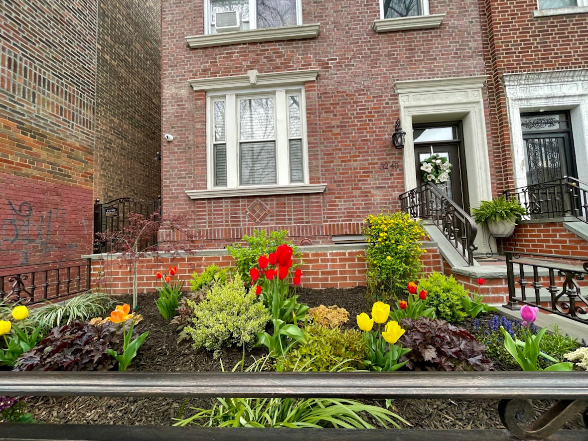 Colorful flowers growing in a flower bed in a front yard in Astoria Queens