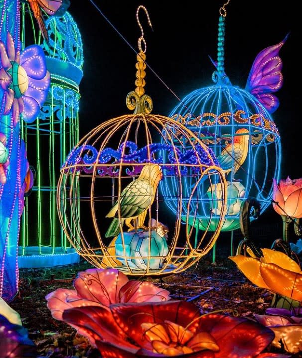 Multicolored, glowing birds in cages
