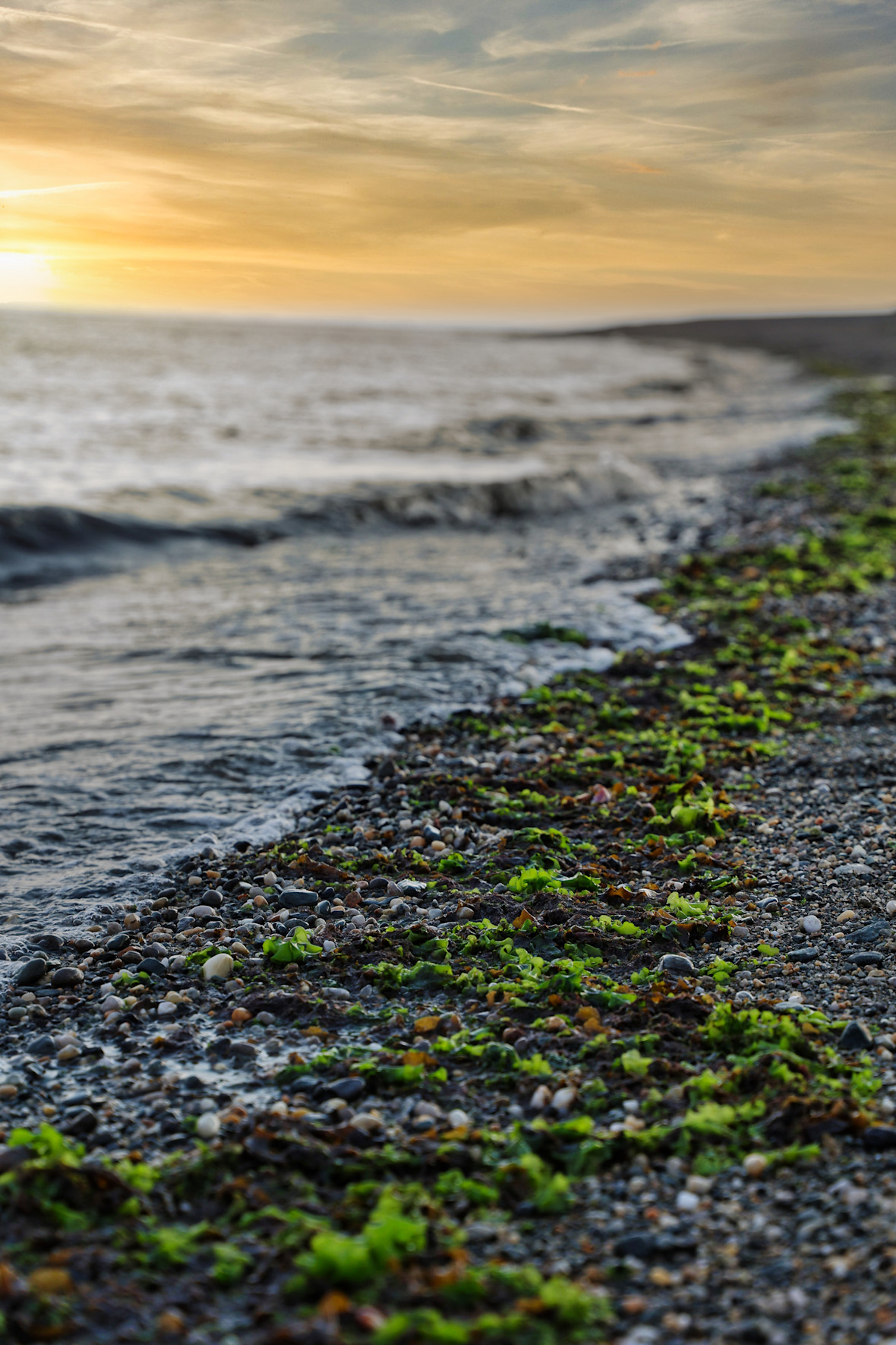 The ocean shoreline in Stratford