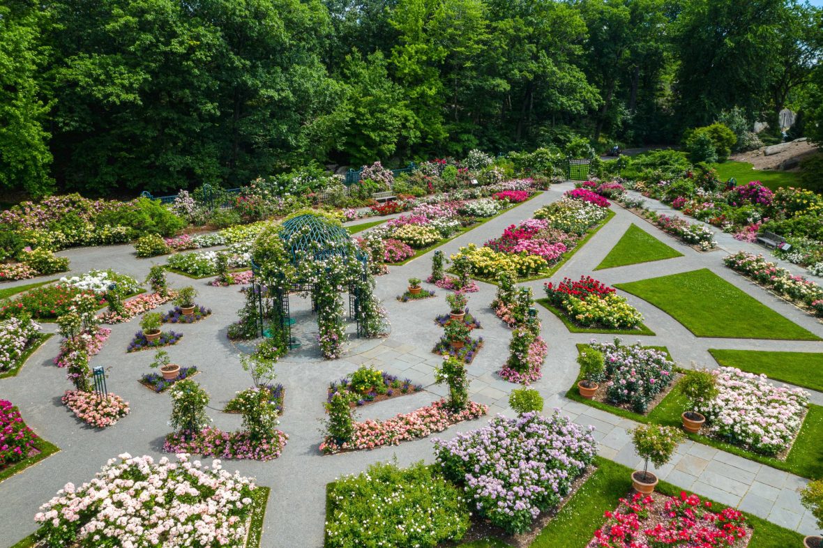 nybg-PeggyRockefellerRoseGardenAerial-MCO-DJI 0567-scaled