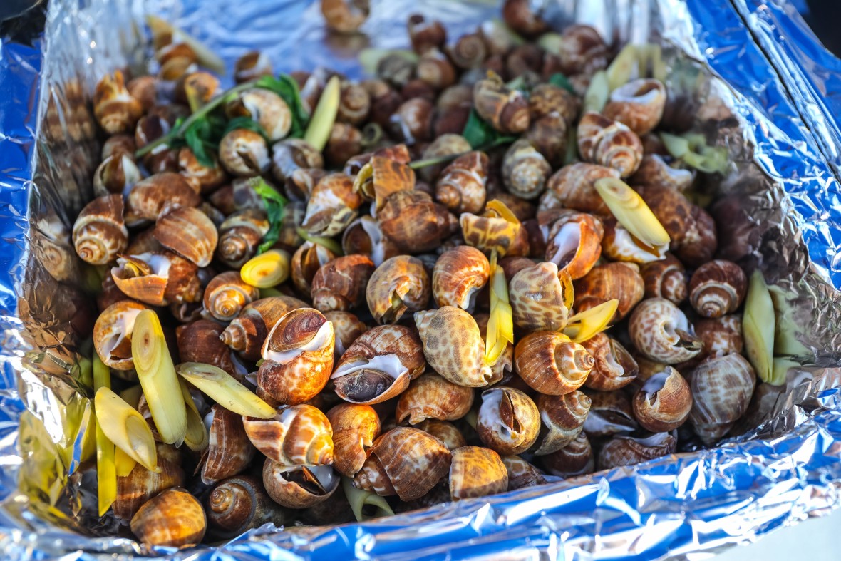 Thai Boiled Whelks from Mahanakhon 