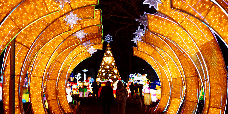 LuminoCity Holiday Lights Festival: Your Wonderland Awaits! | MTA Away