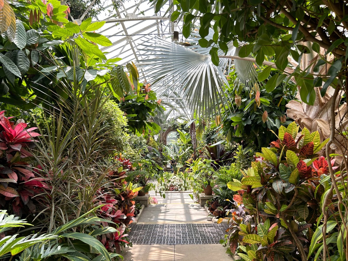 Planting Fields greenhouse