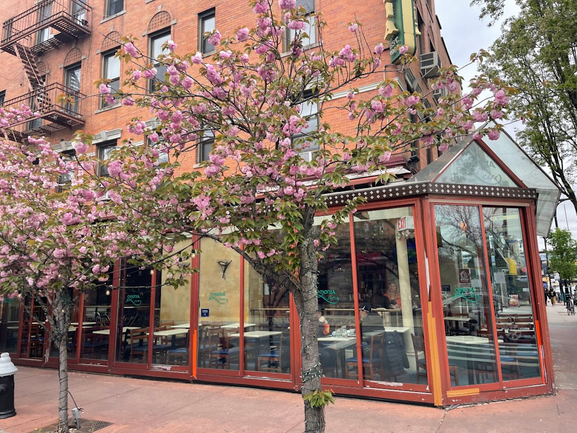Exterior of Omonia Cafe in Astoria with blooming cherry trees framing the building