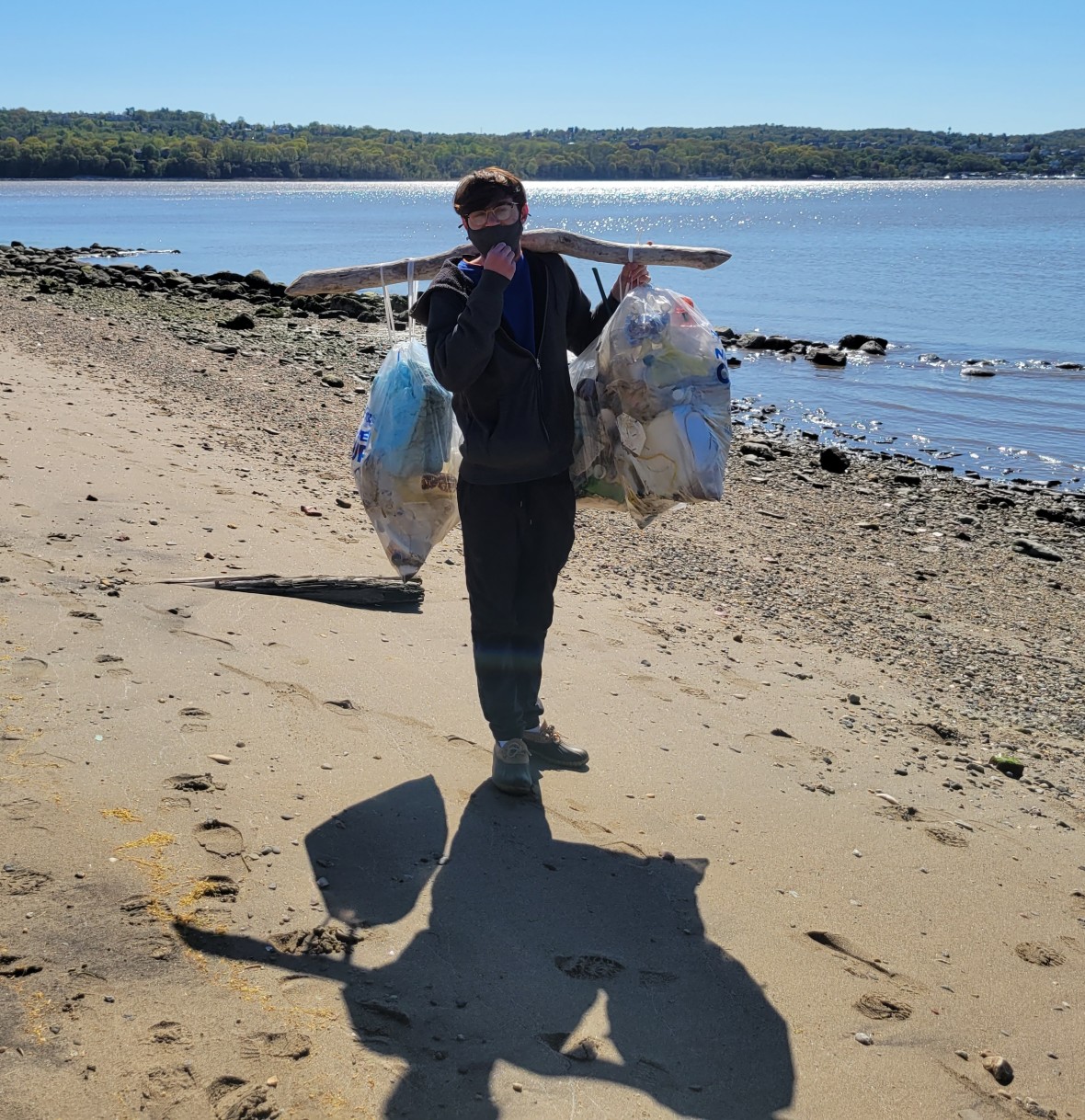 Volunteer carries two full bags of trash with a large piece of river driftwood on the shore of the Hudson River