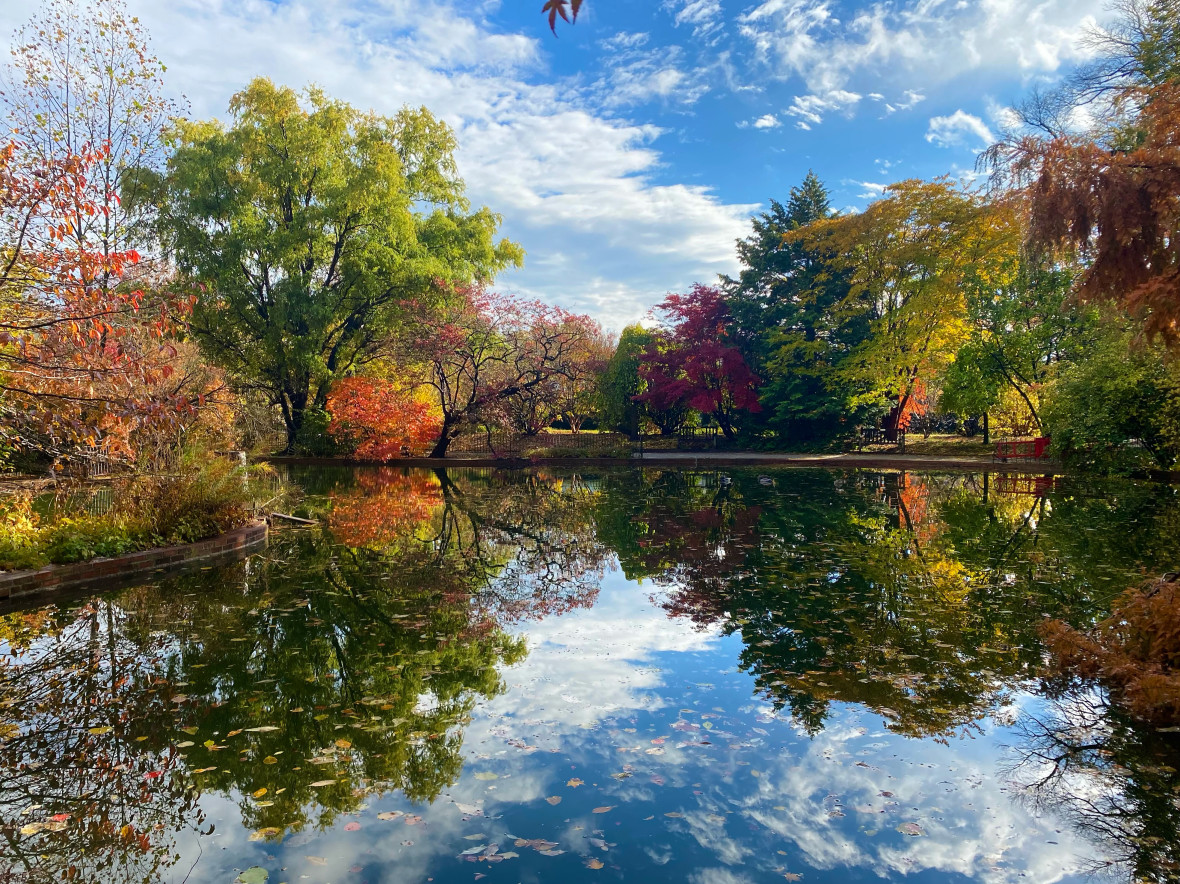 Pond Garden at Snug Harbor - Meredith Sladek