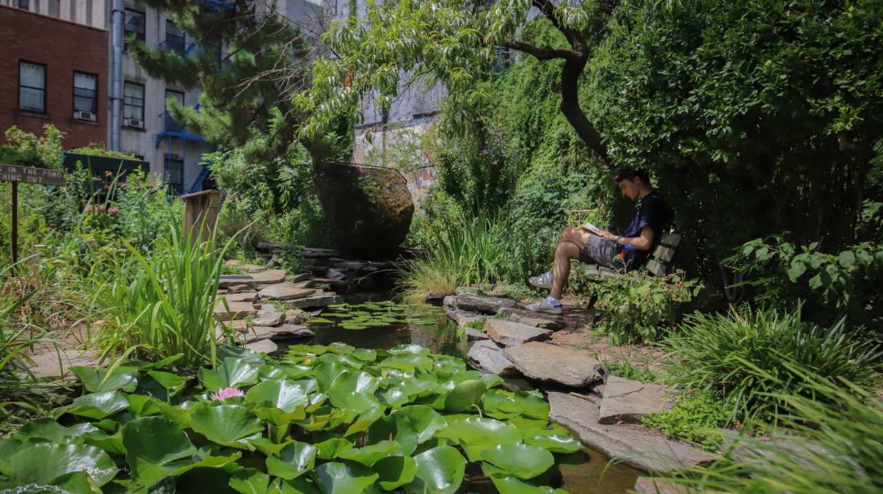 La Plaza Cultural community garden