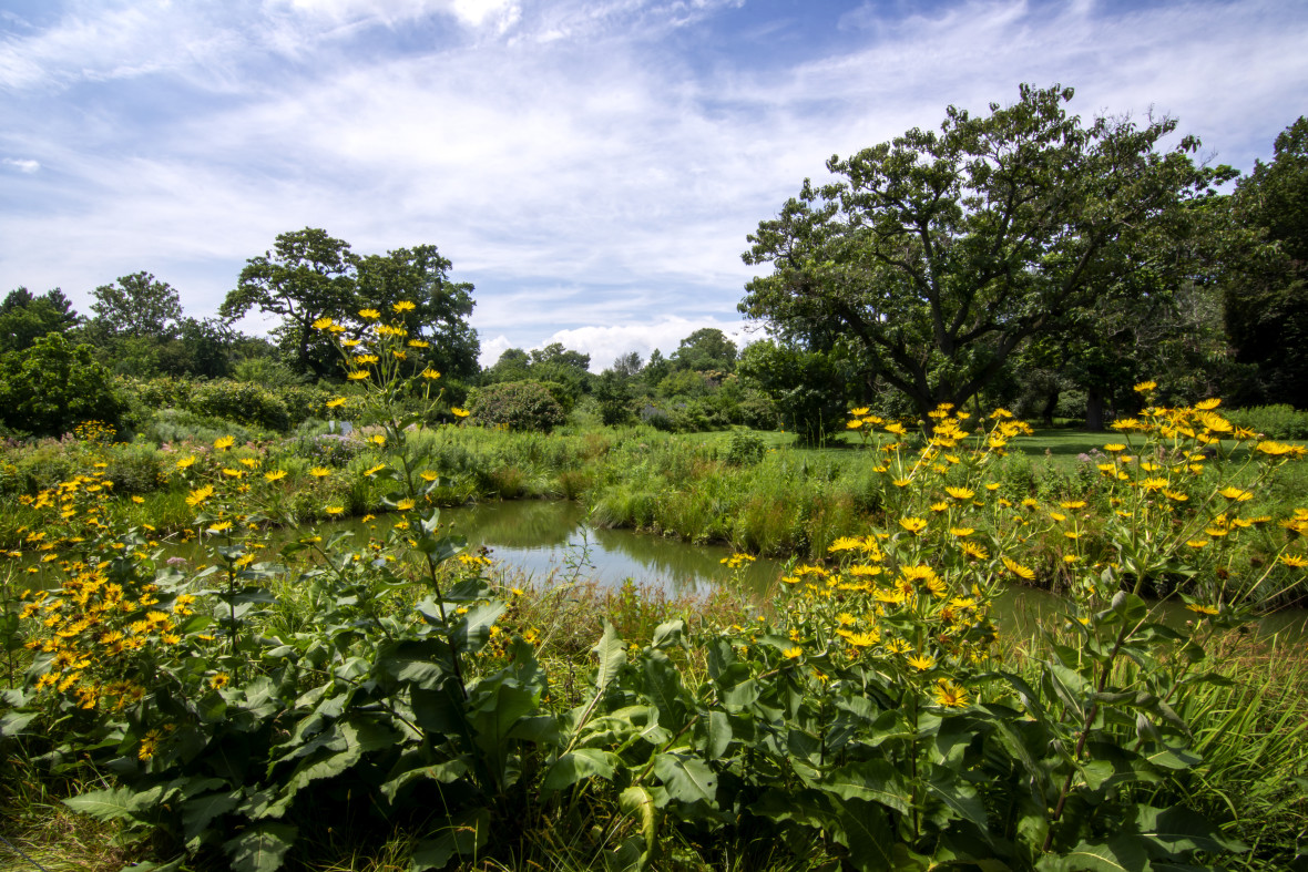 bbg-water-garden-vista MS 51312474444