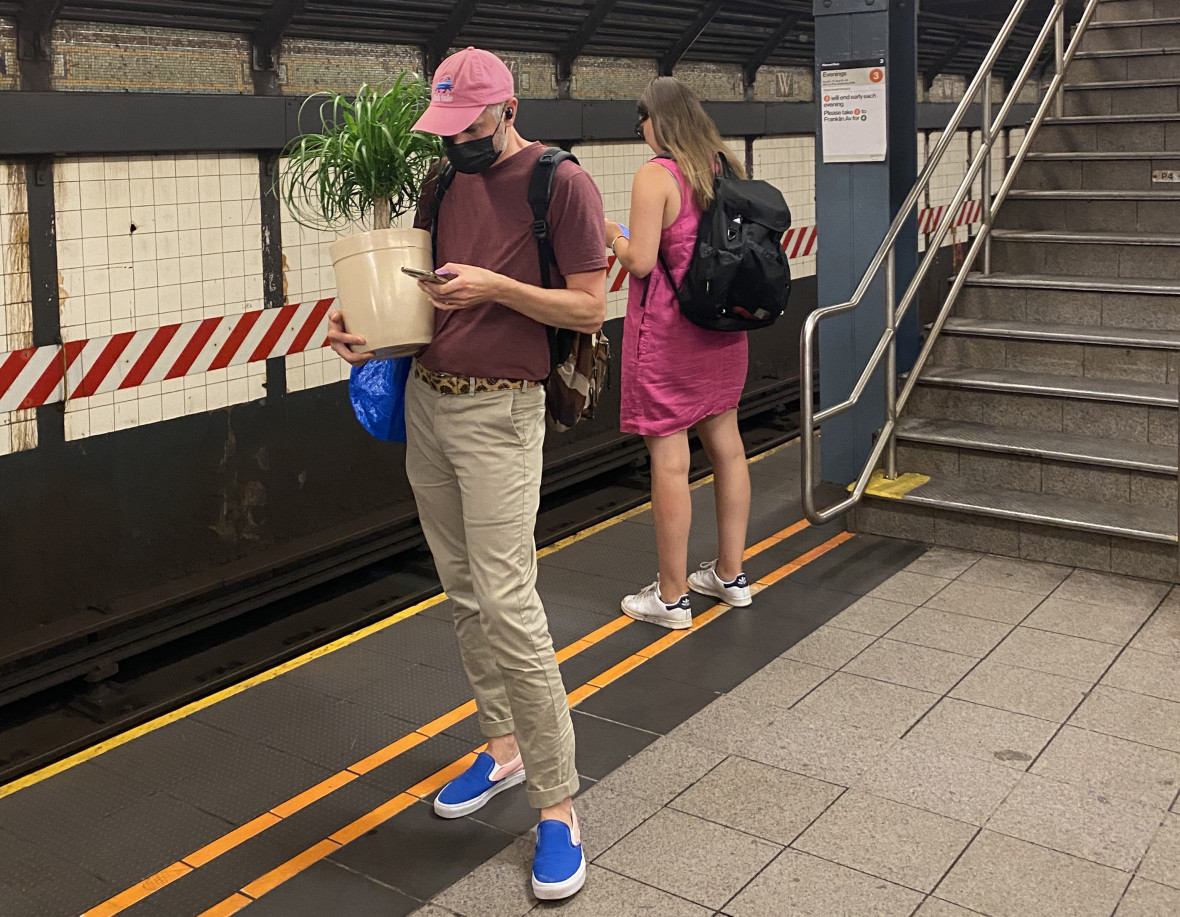 Plant in the subway