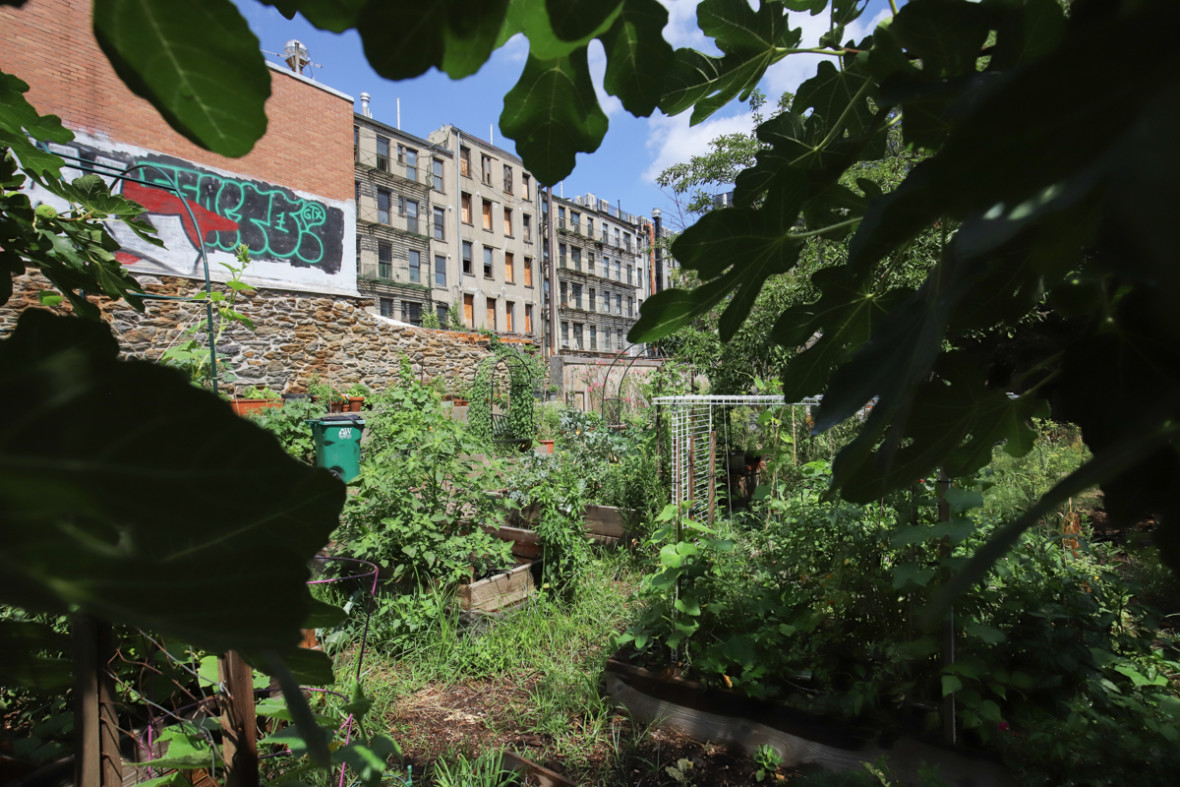 East Side Outside Community Garden