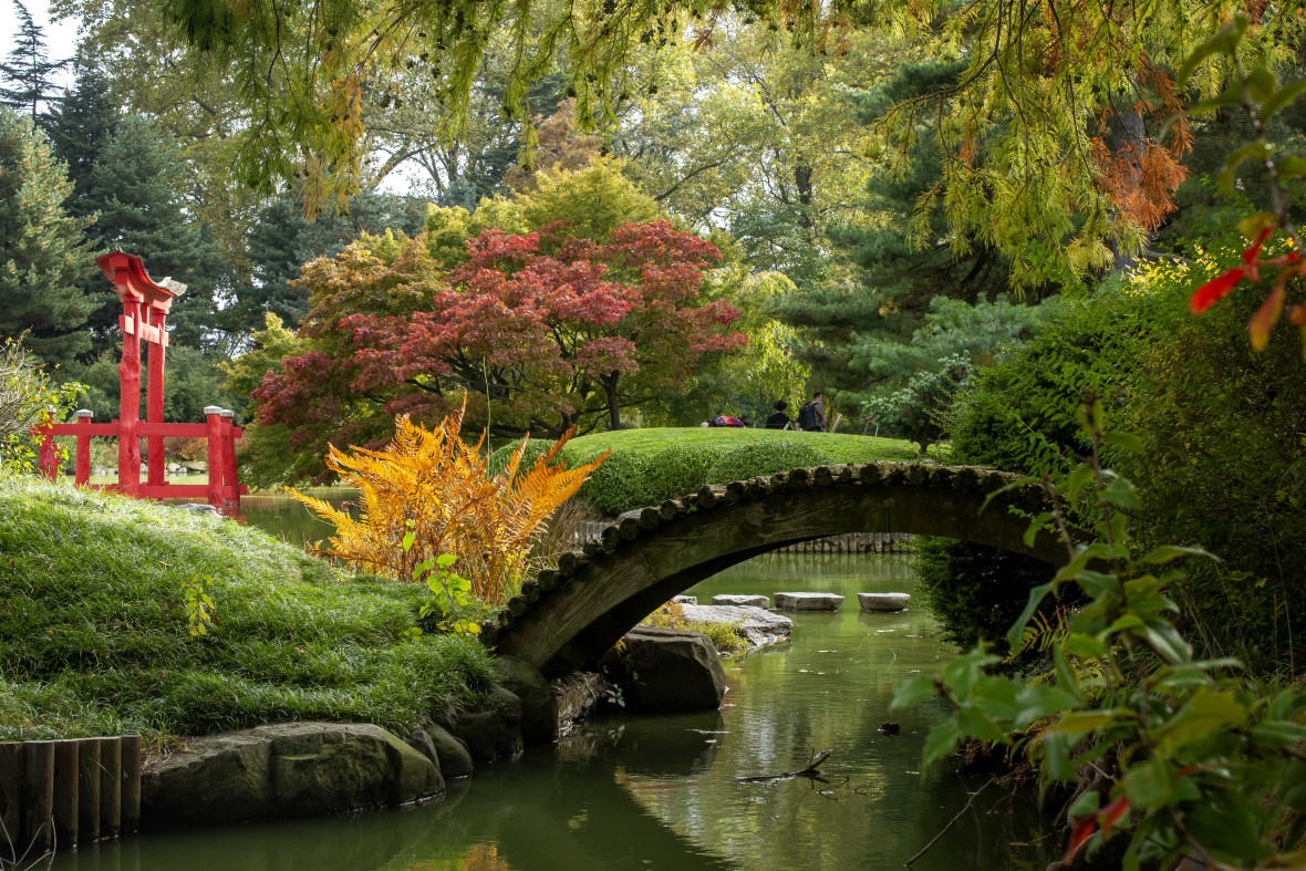 bbg-japanese-hill-and-pond-garden MS 50514351496