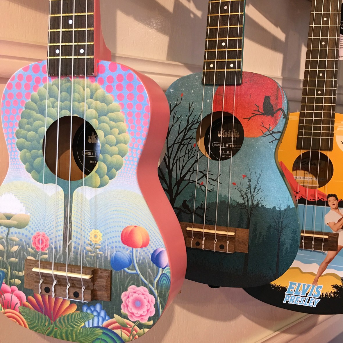 Painted acoustic guitars from Scoot & Paddle
